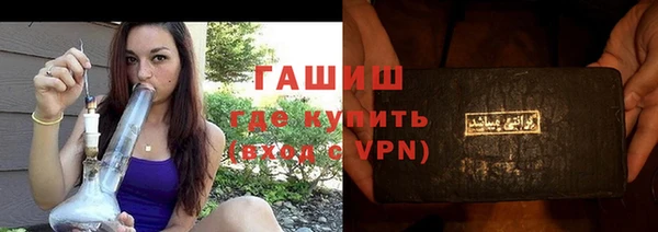 дживик Бородино