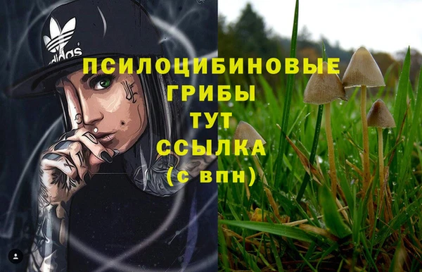 spice Верхний Тагил