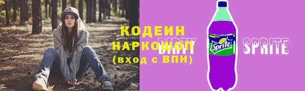 дживик Бородино