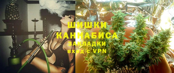 spice Верхний Тагил