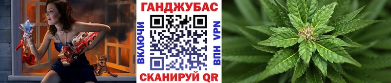 где продают наркотики  Оса  Каннабис индика 